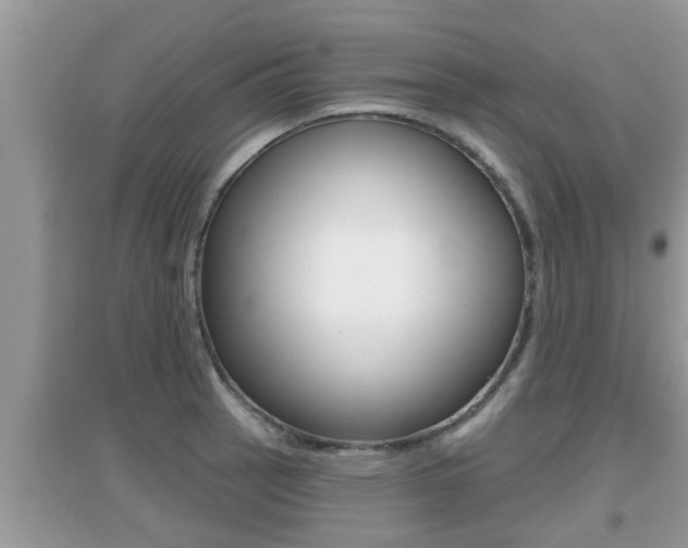 X0000095111137200712070913