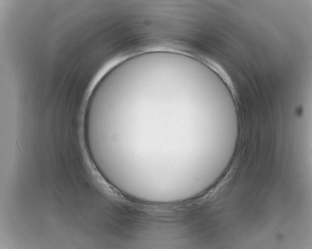 X0000095111138200712070913