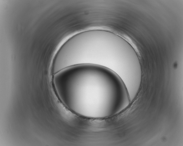 X0000095111140200712070913