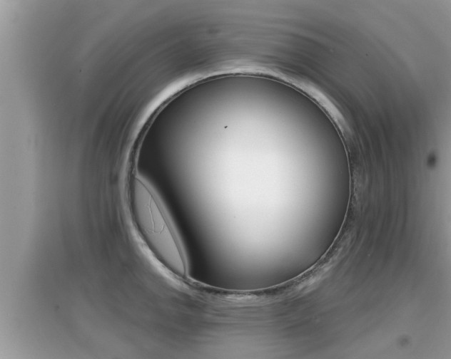 X0000095111142200712070913