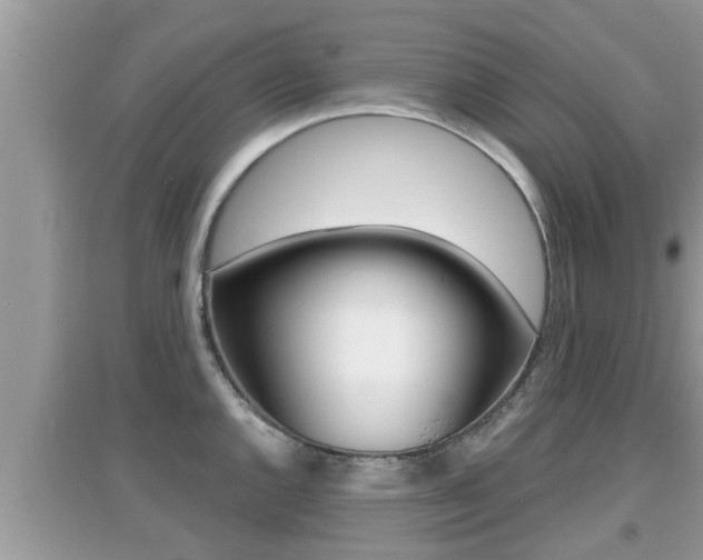 X0000095111144200712070913