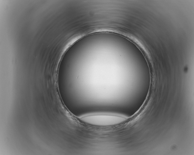X0000095111145200712070913