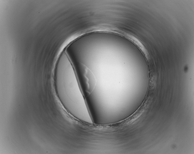X0000095111146200712070913