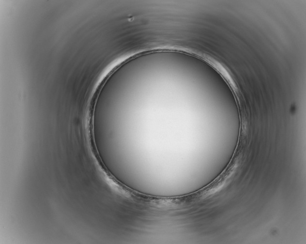 X0000095111149200712070913