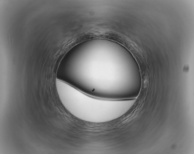X0000095111156200712070912