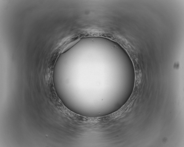 X0000095111157200712070912