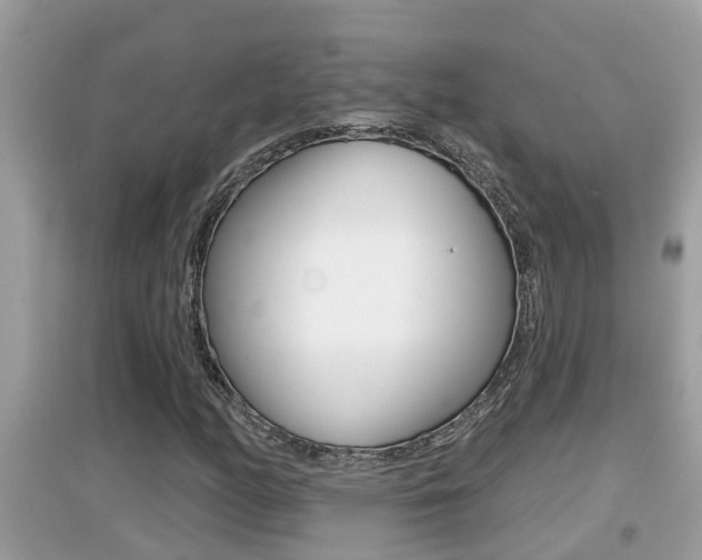 X0000095111158200712070912