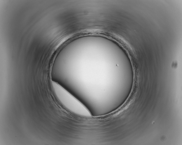 X0000095111162200712070912