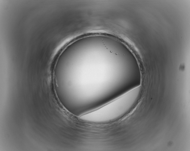 X0000095111167200712070912