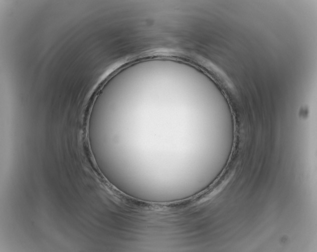 X0000095111170200712070912