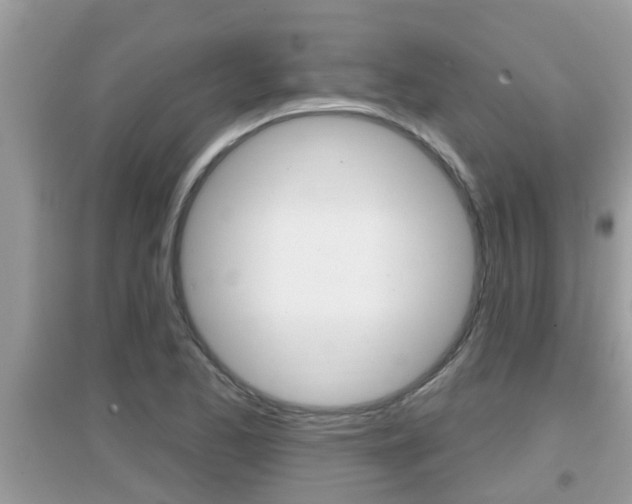 X0000095111173200712070912