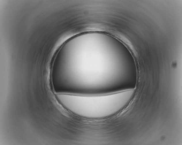 X0000095111179200712070912