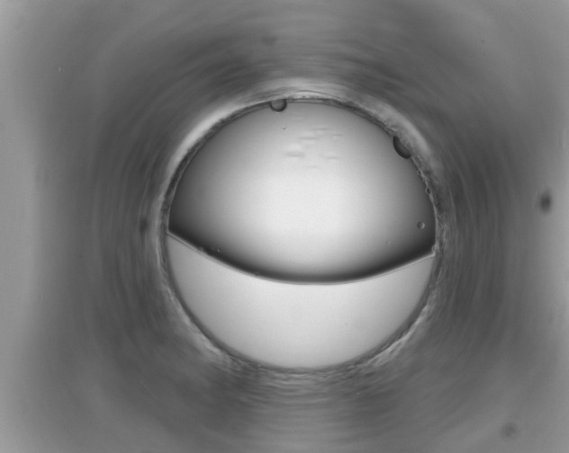 X0000095111182200712070912
