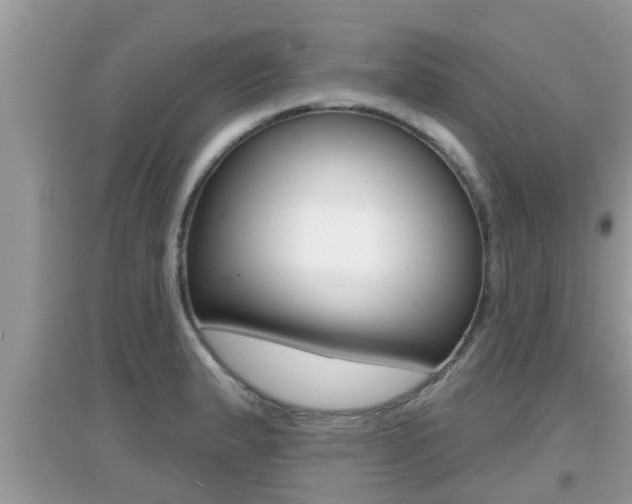 X0000095111183200712070912