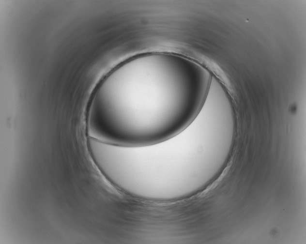 X0000095111184200712070912