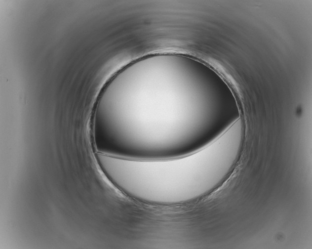 X0000095111189200712070912
