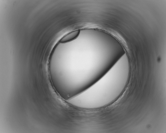 X0000095111190200712070912