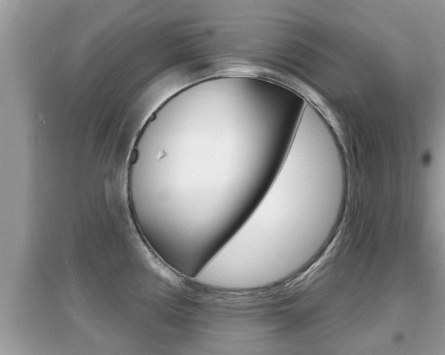 X0000095111194200712070912