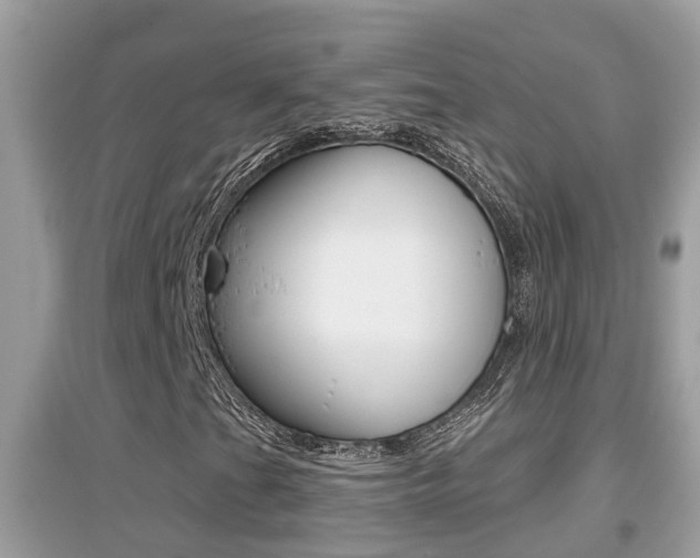 X0000095111201200712070911