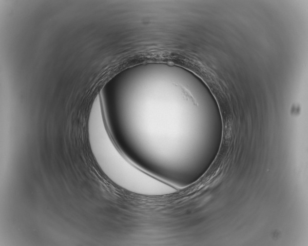 X0000095111202200712070911