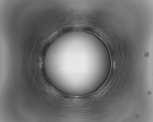 X0000095111204200712070911