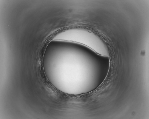 X0000095111206200712070911