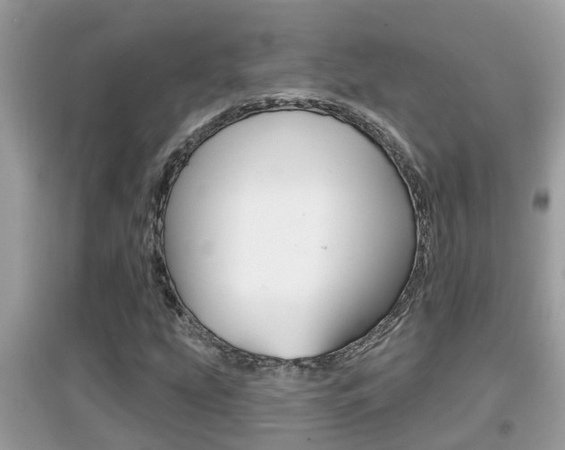 X0000095111207200712070911