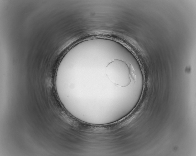 X0000095111209200712070911