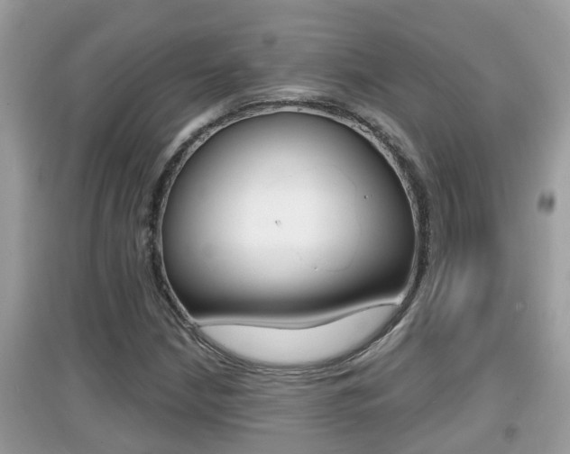 X0000095111210200712070911