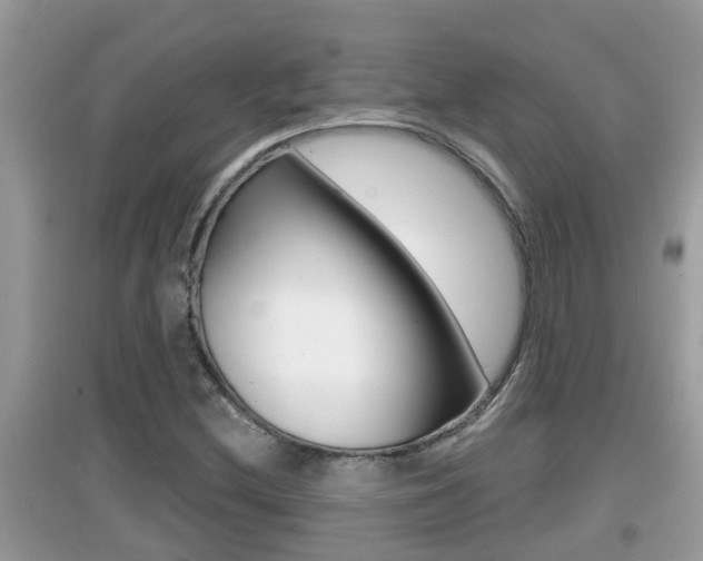 X0000095111212200712070911