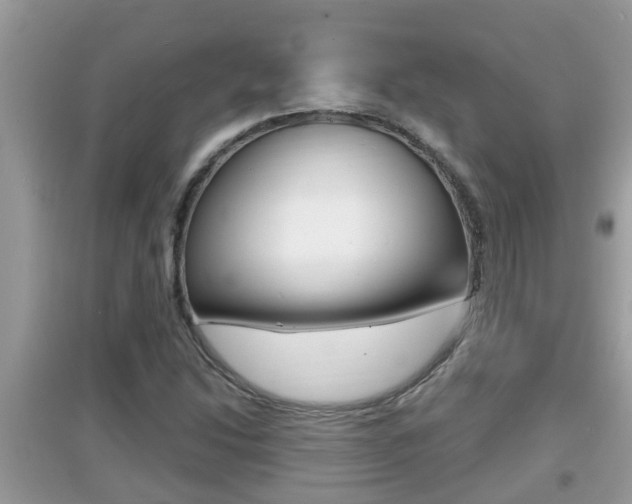 X0000095111214200712070911