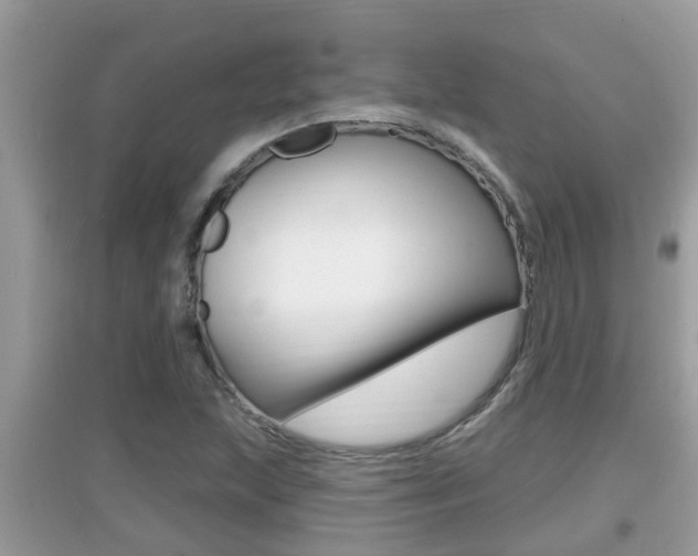 X0000095111215200712070911