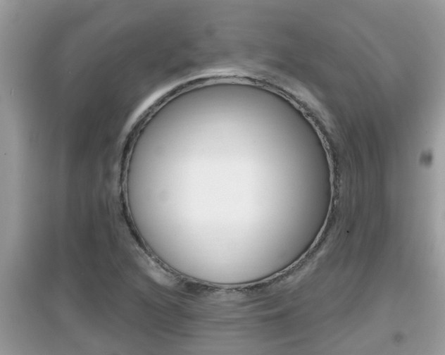 X0000095111216200712070911
