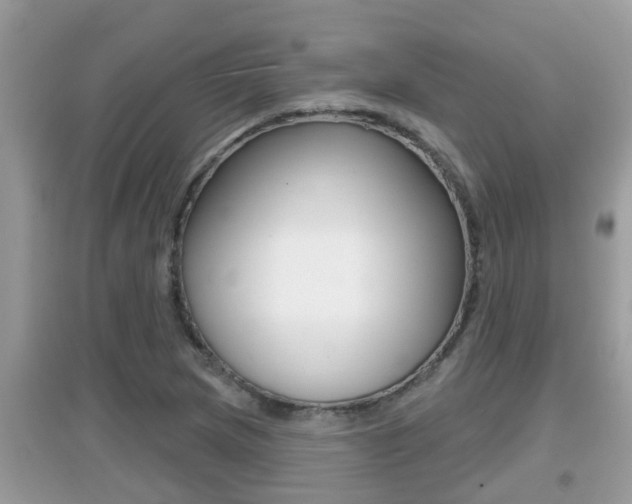 X0000095111217200712070911