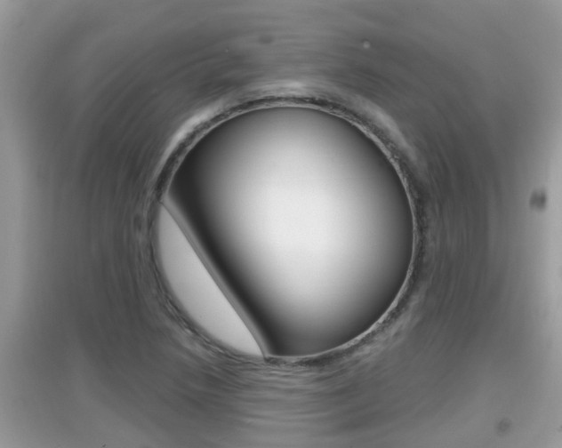 X0000095111218200712070911