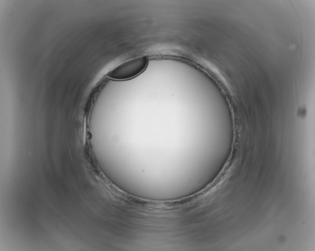 X0000095111219200712070911