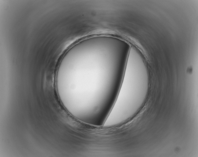 X0000095111220200712070911