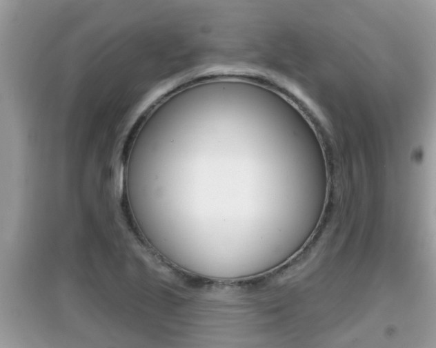 X0000095111221200712070911