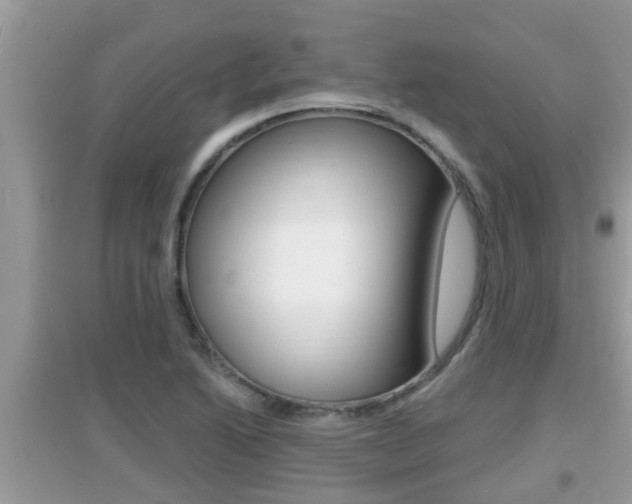 X0000095111222200712070911