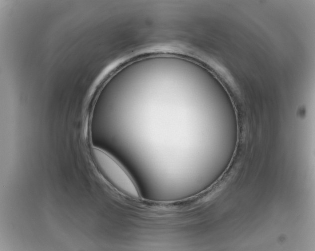 X0000095111224200712070911