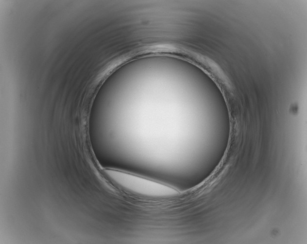 X0000095111225200712070911