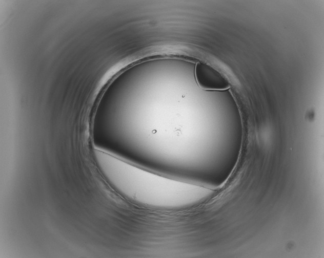 X0000095111226200712070911