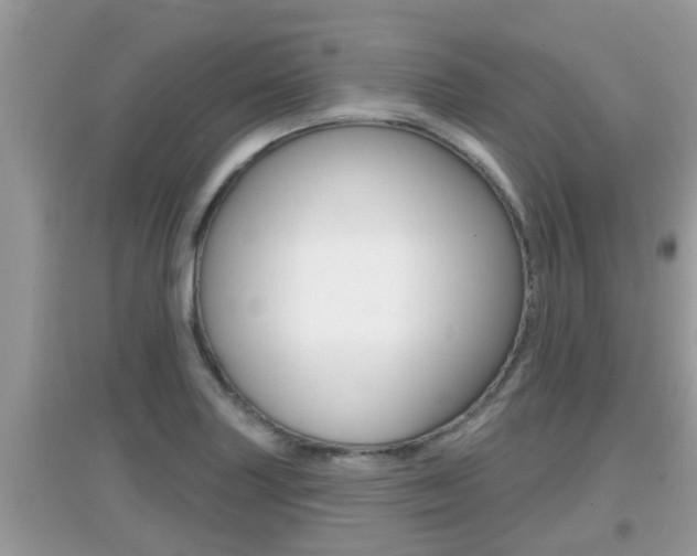 X0000095111227200712070911