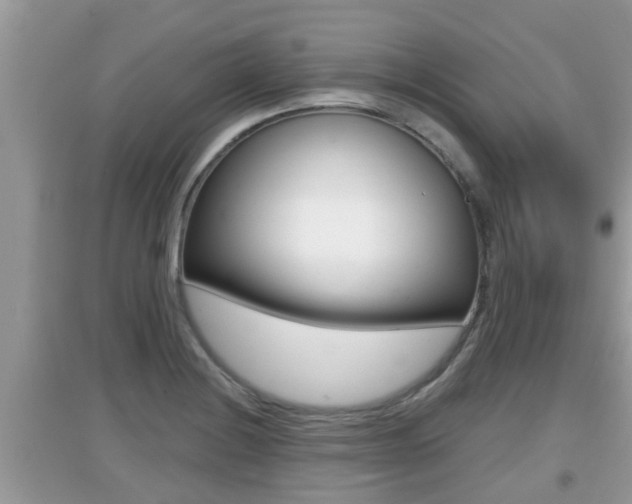 X0000095111228200712070911