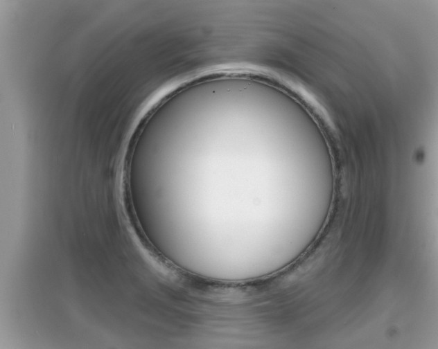 X0000095111229200712070911