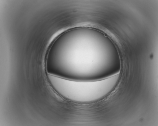 X0000095111230200712070911