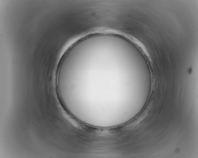 X0000095111231200712070911