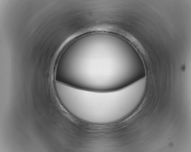 X0000095111232200712070911