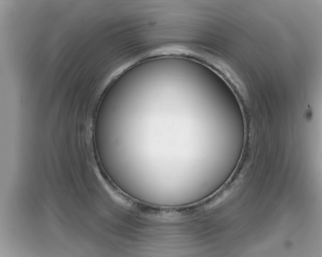 X0000095111233200712070911