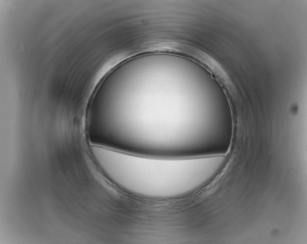 X0000095111234200712070911
